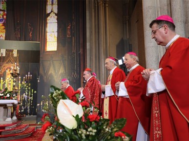 /aktualnosti/2026/A/260210 Stepinčevo u katedrali (12).JPG