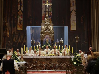 /aktualnosti/2026/B/260404 Nadbiskup Kutleša predvodio Vazmeno bdjenje u Zagrebačkoj katedrali (13).JPG