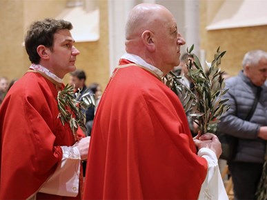 /aktualnosti/2026/B/Nadbiskup Kutleša predvodio misno slavlje Nedjelje Muke Gospodnje u Zagrebačkoj katedrali (3).JPG