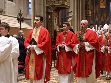 /aktualnosti/2026/B/Nadbiskup Kutleša predvodio misno slavlje Nedjelje Muke Gospodnje u Zagrebačkoj katedrali (31).JPG